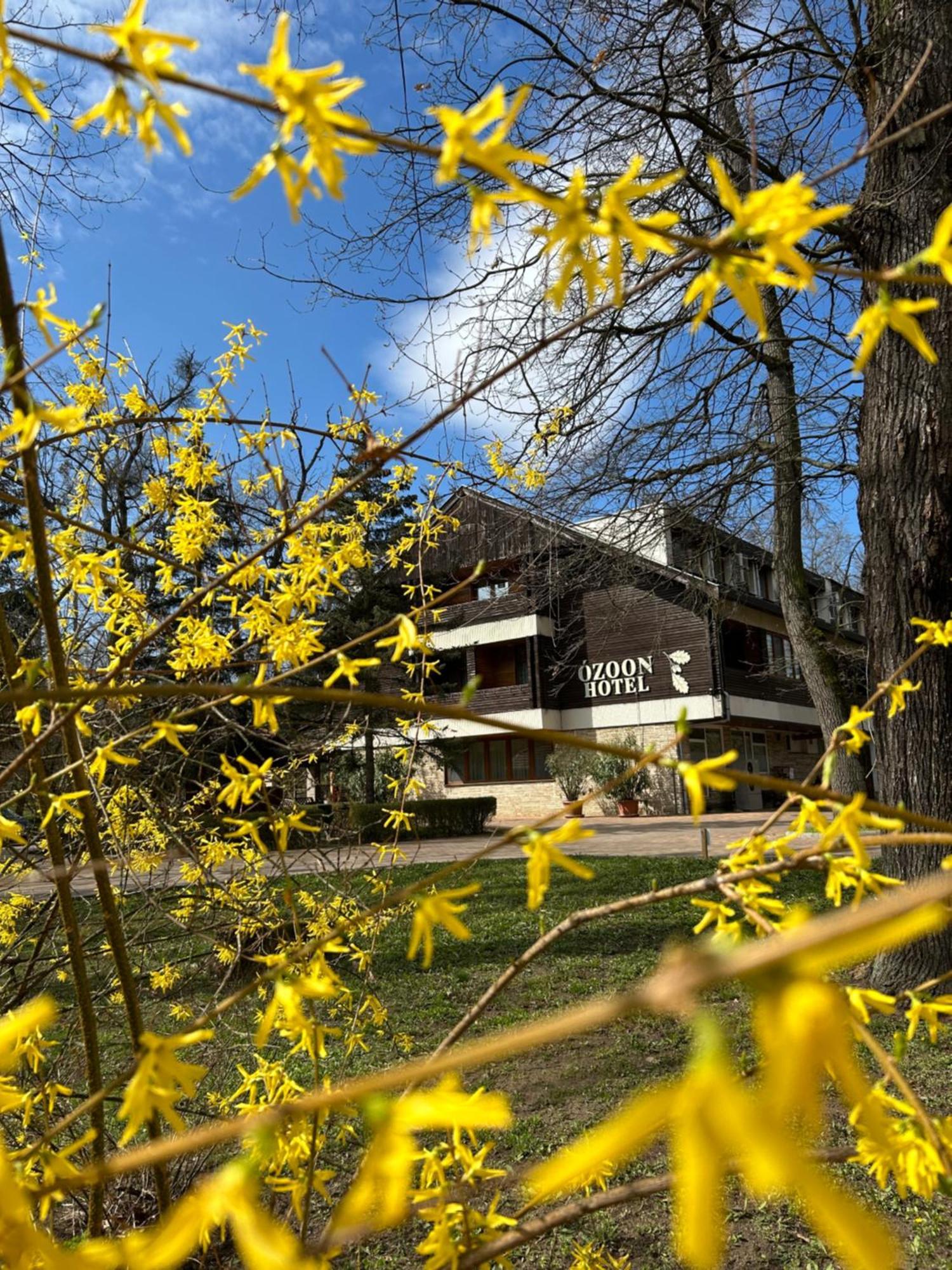 Ózoon Hotel Nyíregyháza Exterior foto